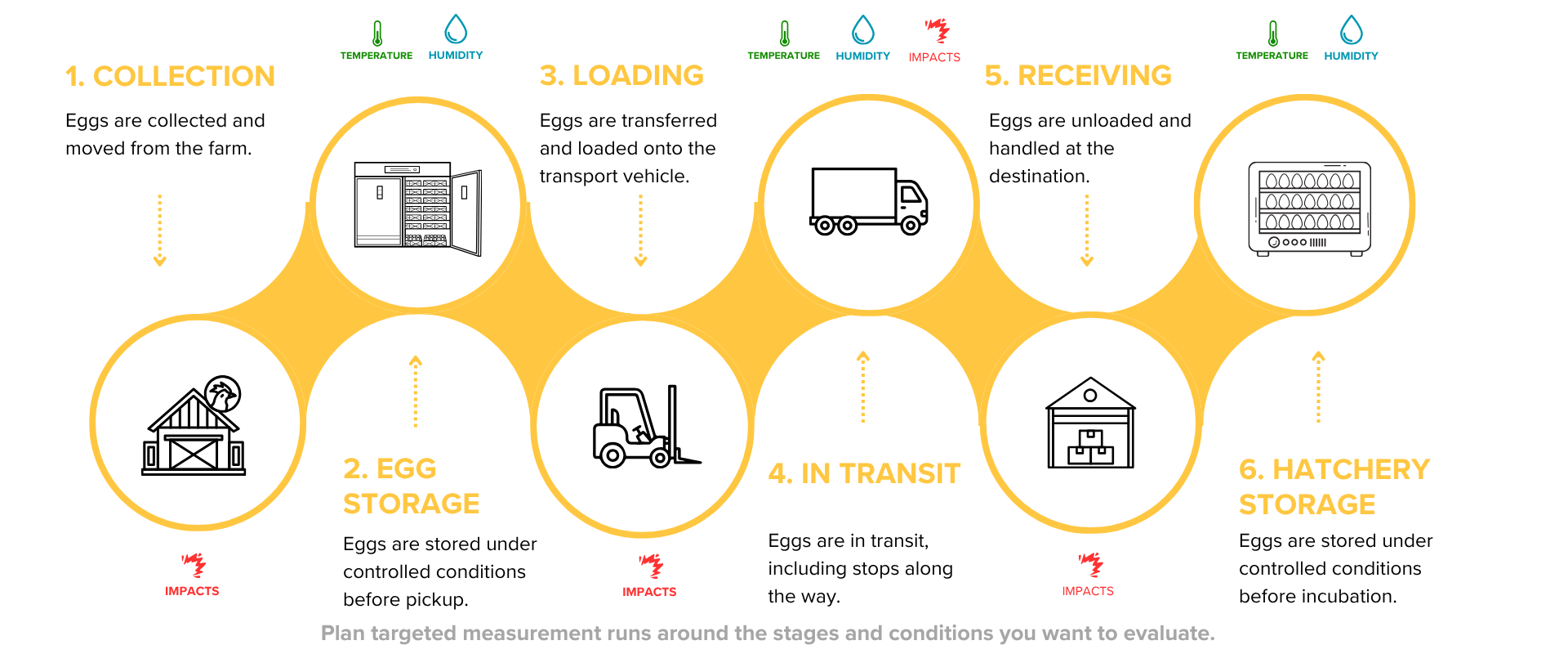 CracklessEgg_Critical_Points_Egg_Journey